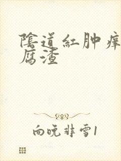 阴道红肿痒有豆腐渣