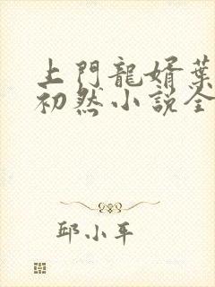 上门龙婿叶辰萧初然小说全集免费