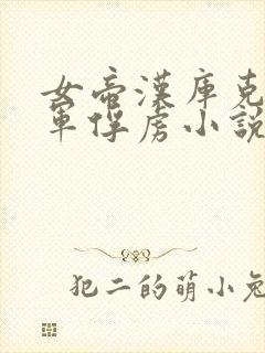 女帝汉库克被海军俘虏小说封面