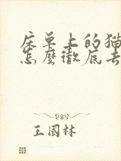 床单上的猫尿味怎么彻底去除