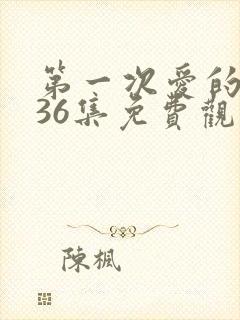 第一次爱的人第36集免费观看