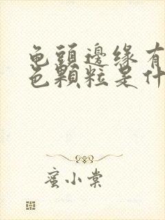 龟头边缘有小白色颗粒是什么情况封面