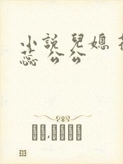 小说 儿媳 花蕊 公公封面