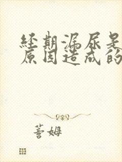 经期漏尿是什么原因造成的