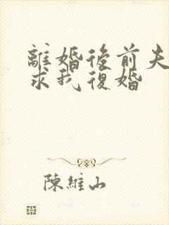 离婚后前夫哭着求我复婚