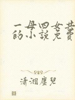 一母四女共一婿的小说免费阅读小冉
