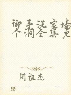 御手洗家墙上有个洞全集免费观看