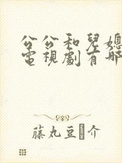 公公和儿媳妇的电视剧有哪些