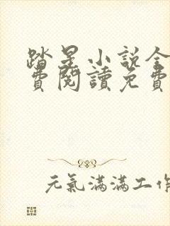 踏星小说全文免费阅读免费封面