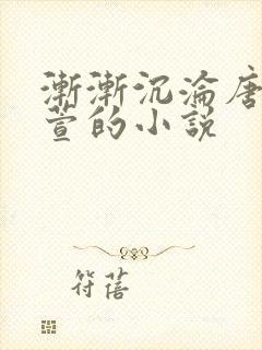 渐渐沉沦唐浪江萱的小说