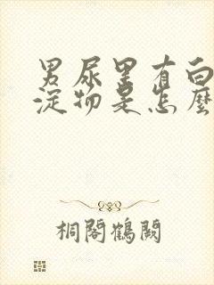 男尿里有白色沉淀物是怎么回事