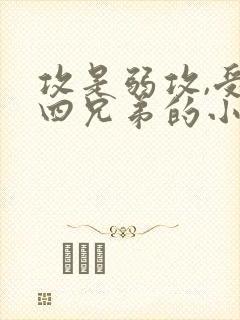 攻是弱攻,受是四兄弟的小说