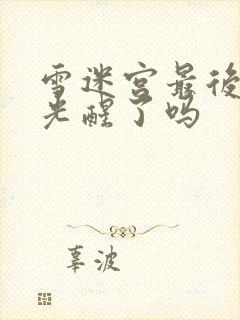 雪迷宫最后赵小光醒了吗封面