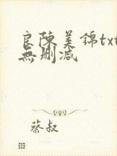 良陈美锦txt无删减