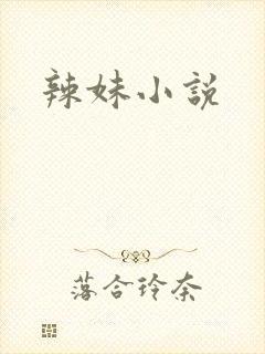 辣妹小说