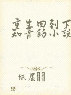 重生回到下乡当知青的小说