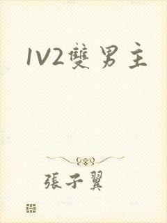 1V2双男主