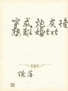 穿成炮灰后我只想离婚txt