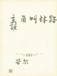 主角叫林路的小说