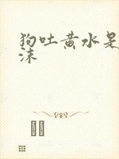 狗吐黄水是带泡沫