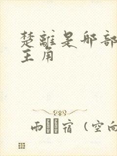 楚离是哪部小说主角