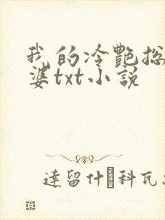 我的冷艳总裁老婆txt小说