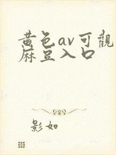 黄色av可观看麻豆入口