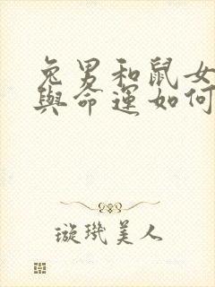 兔男和鼠女婚姻与命运如何封面