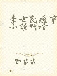 李世民魂穿刘禅小说叫啥