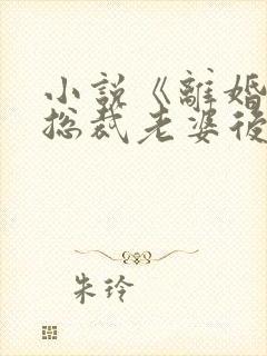 小说《离婚后,总裁老婆后悔了》封面