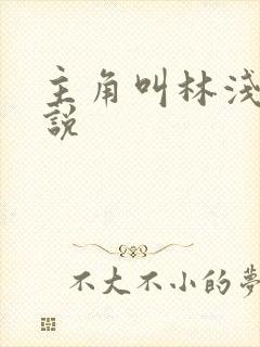 主角叫林浅的小说