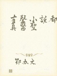 有声小说都市修真医圣