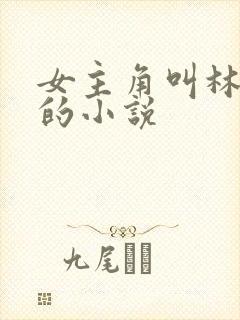 女主角叫林清妍的小说