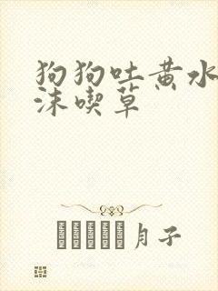 狗狗吐黄水带泡沫吃草