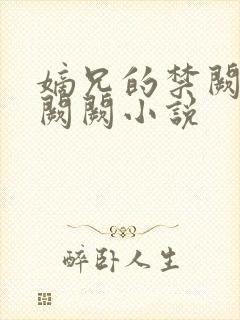 嫡兄的禁阙 华阙阙小说封面