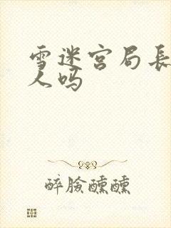 雪迷宫局长是好人吗