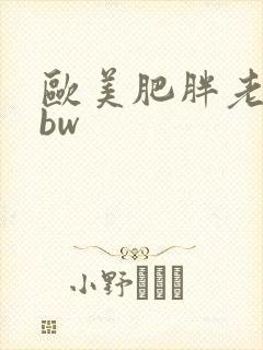 欧美肥胖老太bbw