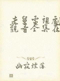 老舅电视剧免费观看全集在线播放