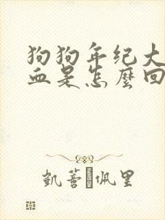 狗狗年纪大了尿血是怎么回事