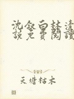 沈叙白林清婉小说免费阅读最新章节