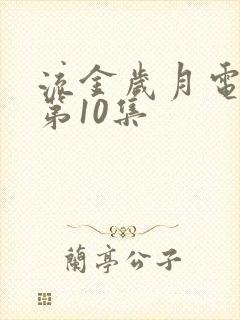 流金岁月电视剧第10集