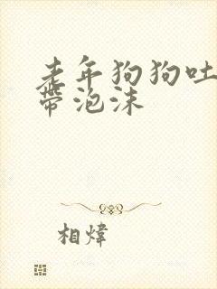 老年狗狗吐黄水带泡沫