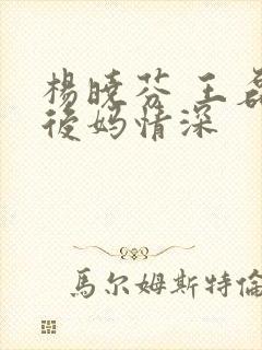 杨晓芬 王磊 后妈情深