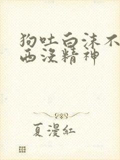 狗吐白沫不吃东西没精神封面