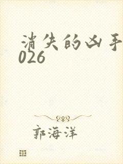 消失的凶手 2026封面