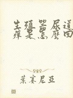 生殖器尿道口发痒是怎么回事封面