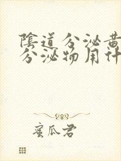 阴道分泌黄绿色分泌物用什么药