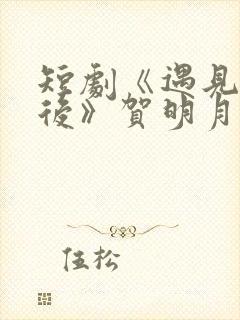 短剧《遇见你之后》贺明月在线观看封面