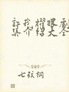 许我耀眼剧情分集介绍大全