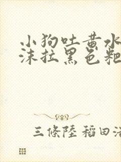 小狗吐黄水带泡沫拉黑色粑粑怎么办封面